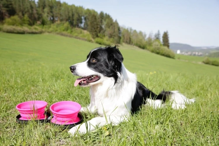 Kiwi-Walker-TRAVEL-DOUBLE-BOWL-zestaw-misek-turystycznych-zielonych3.webp