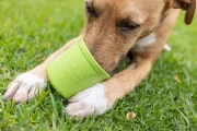 Mata-LickiMat-Yoggie-Pot-turkusowa8 — kopia.webp