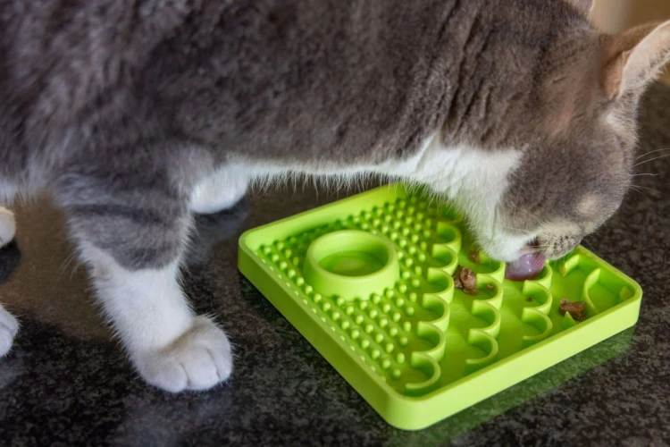 Mata-LickiMat-Classic-Catster-pomaranczowa3.webp