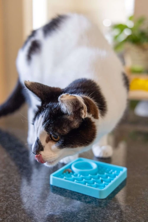 Mata-LickiMat-Classic-Kitty-rozowa4.webp