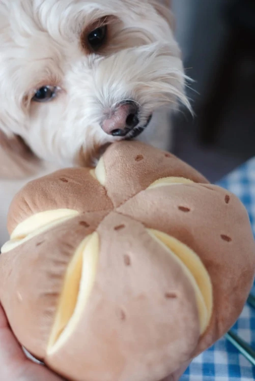 Pups--Bubs-CHEESY-BREAD-Serowa-buleczka-zabawka-wechowa8.webp