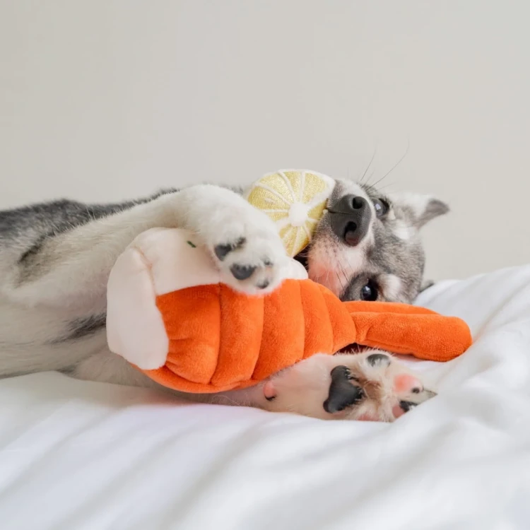 Pups--Bubs-GRILLED-LOBSTER-Grillowany-Homar-zabawka-wechowa6.webp