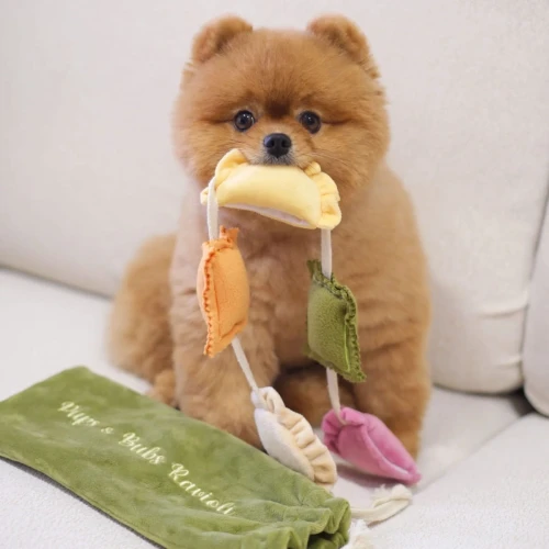 Pups--Bubs-RAVIOLI-zabawka-wechowa.webp