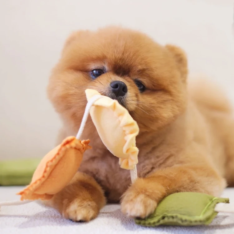 Pups--Bubs-RAVIOLI-zabawka-wechowa4.webp