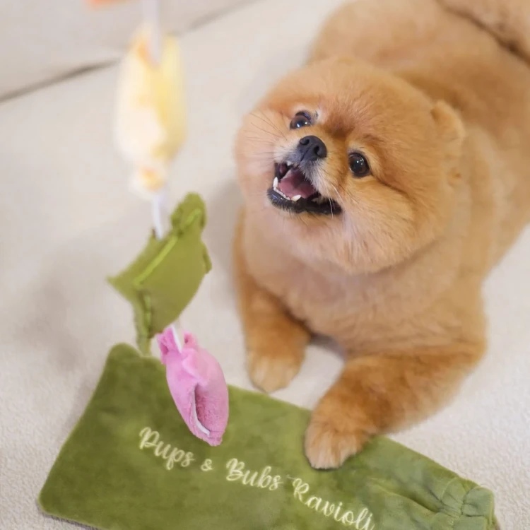 Pups--Bubs-RAVIOLI-zabawka-wechowa5.webp
