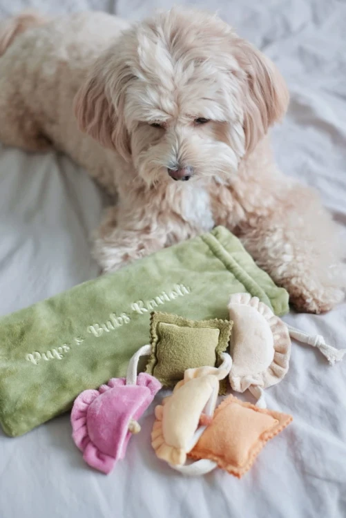Pups--Bubs-RAVIOLI-zabawka-wechowa7.webp