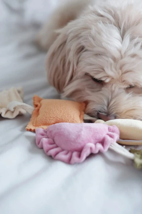 Pups--Bubs-RAVIOLI-zabawka-wechowa8.webp