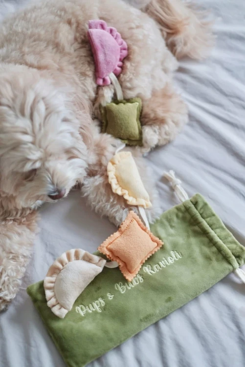 Pups--Bubs-RAVIOLI-zabawka-wechowa9.webp