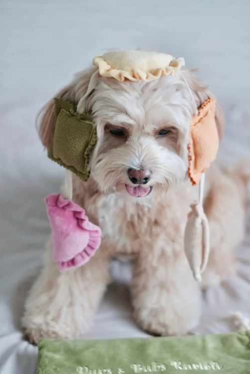 Pups--Bubs-RAVIOLI-zabawka-wechowa11.webp