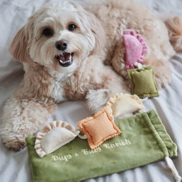 Pups--Bubs-RAVIOLI-zabawka-wechowa12.webp
