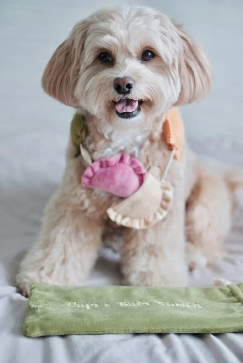 Pups--Bubs-RAVIOLI-zabawka-wechowa13.webp