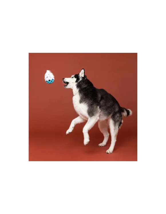 here-for-the-cupcakes-tpr-with-plush-dog-toy3.jpg