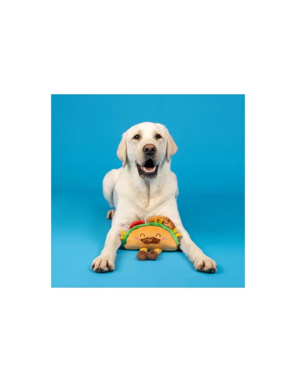 spicy-sidekick-plush-dog-toy5.jpg
