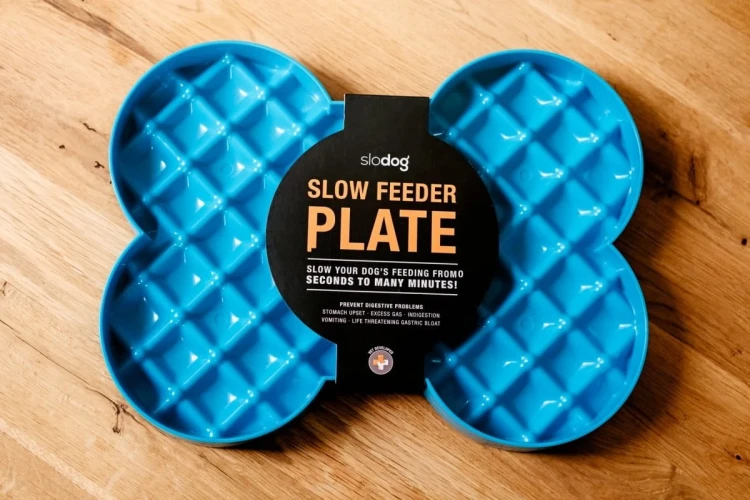 Miska-spowalniajaca-jedzenie-SLODOG-turkusowa4.webp