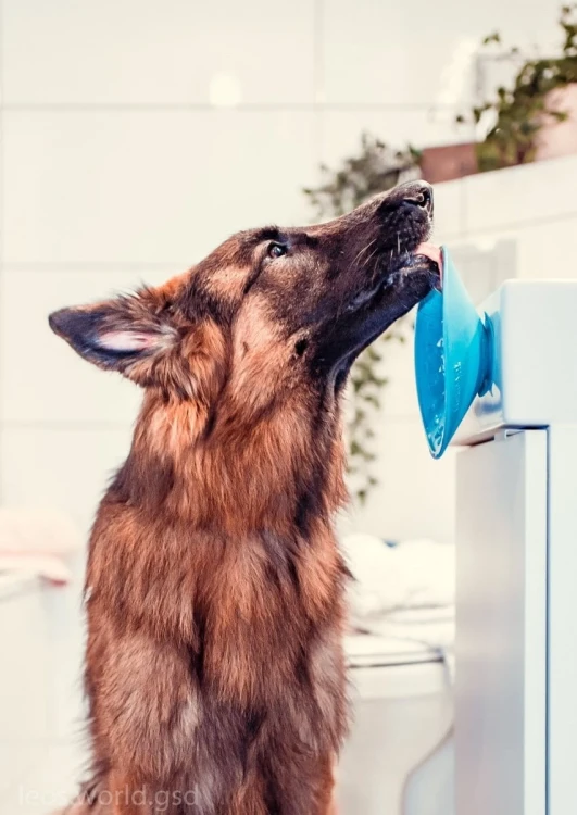 Mata-LickiMat-Splash-fioletowa5.webp