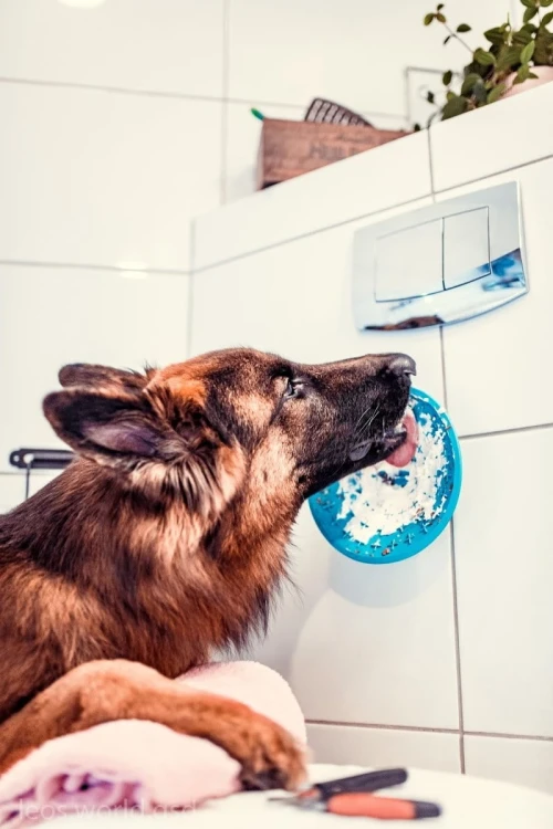 Mata-LickiMat-Splash-fioletowa10.webp