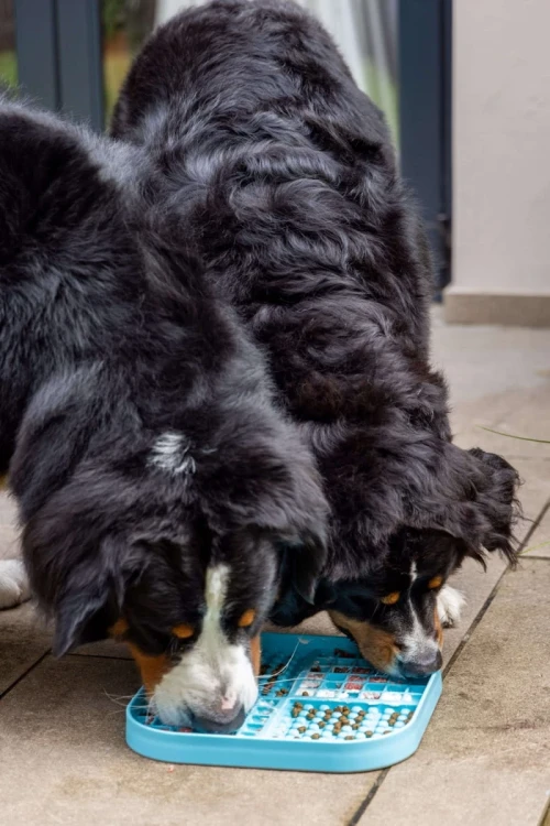 Mata-LickiMat-Slomo-XL-czarna9.webp