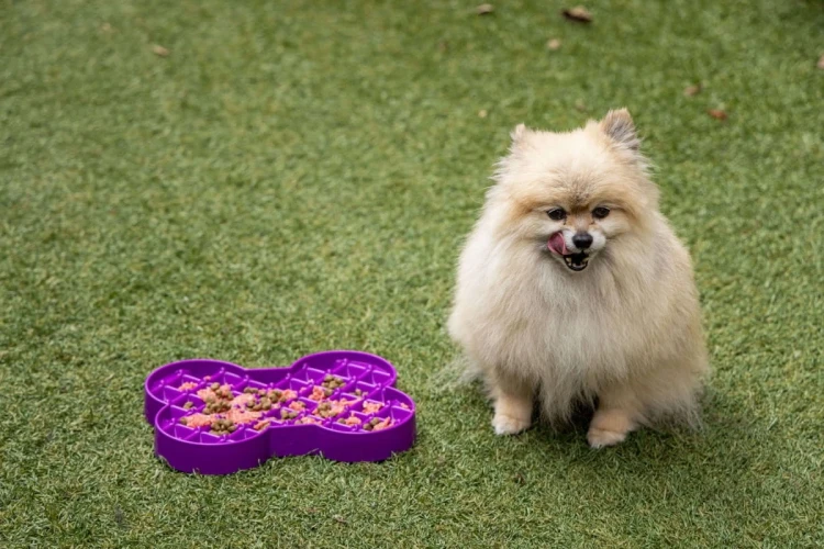 Miska-slow-food-spowalniajaca-jedzenie-SMALL-SLODOG-rozowa8.webp